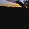 Elk Sunset Gaiter Name Drop - Image 3